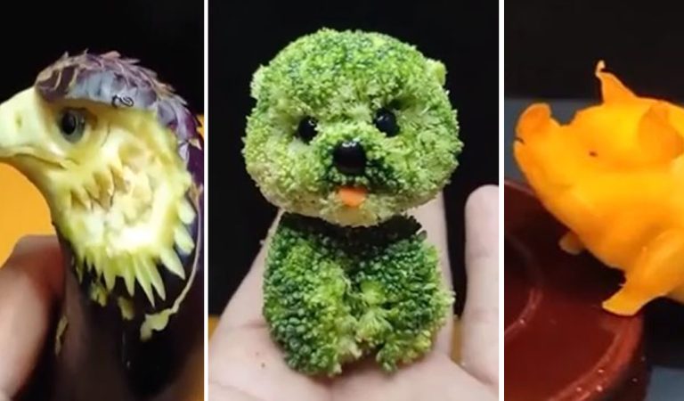 Creative animals made of vegetables. Have you ever tried to play with your food?