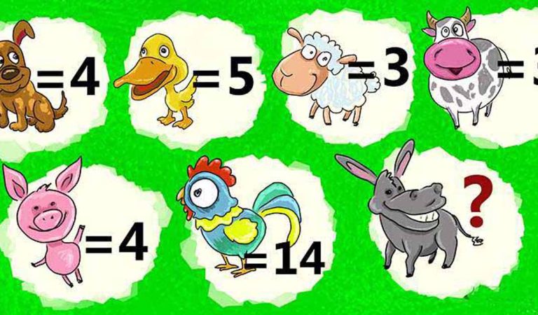 How Many of those Does a Donkey Have? This puzzle can confuse even the smartest adults.