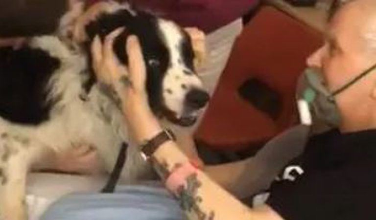 Dying grandpa is granted last wish to see his beloved dog.