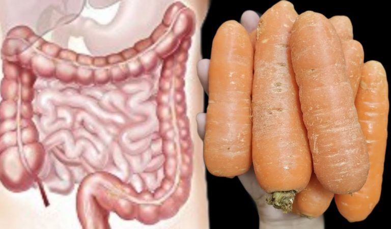 Carrots: Your Secret to a Healthier You!