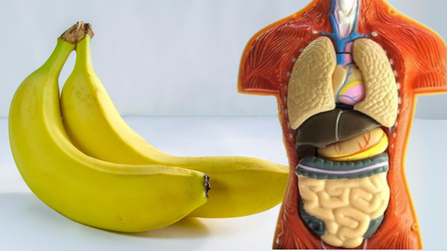 What Will Happen to Your Body if You Eat 2 Bananas a Day